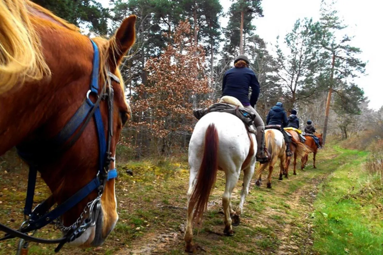 Les Gites Du Val Valprivas France